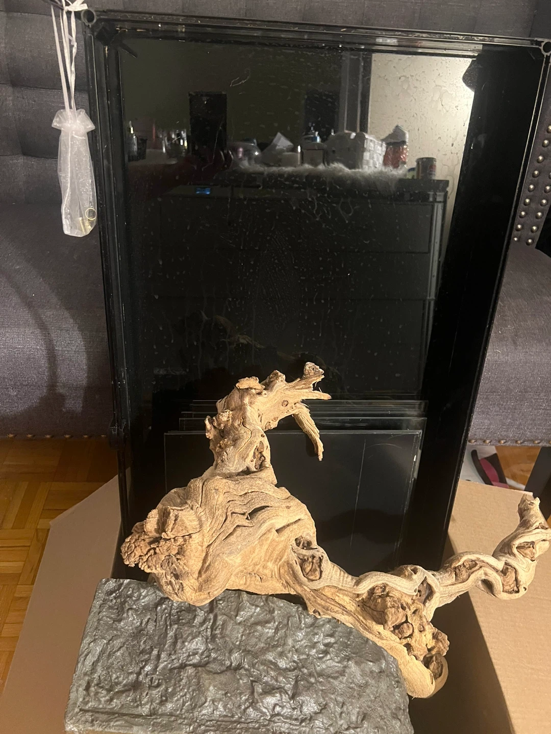Large terrarium - photo 3