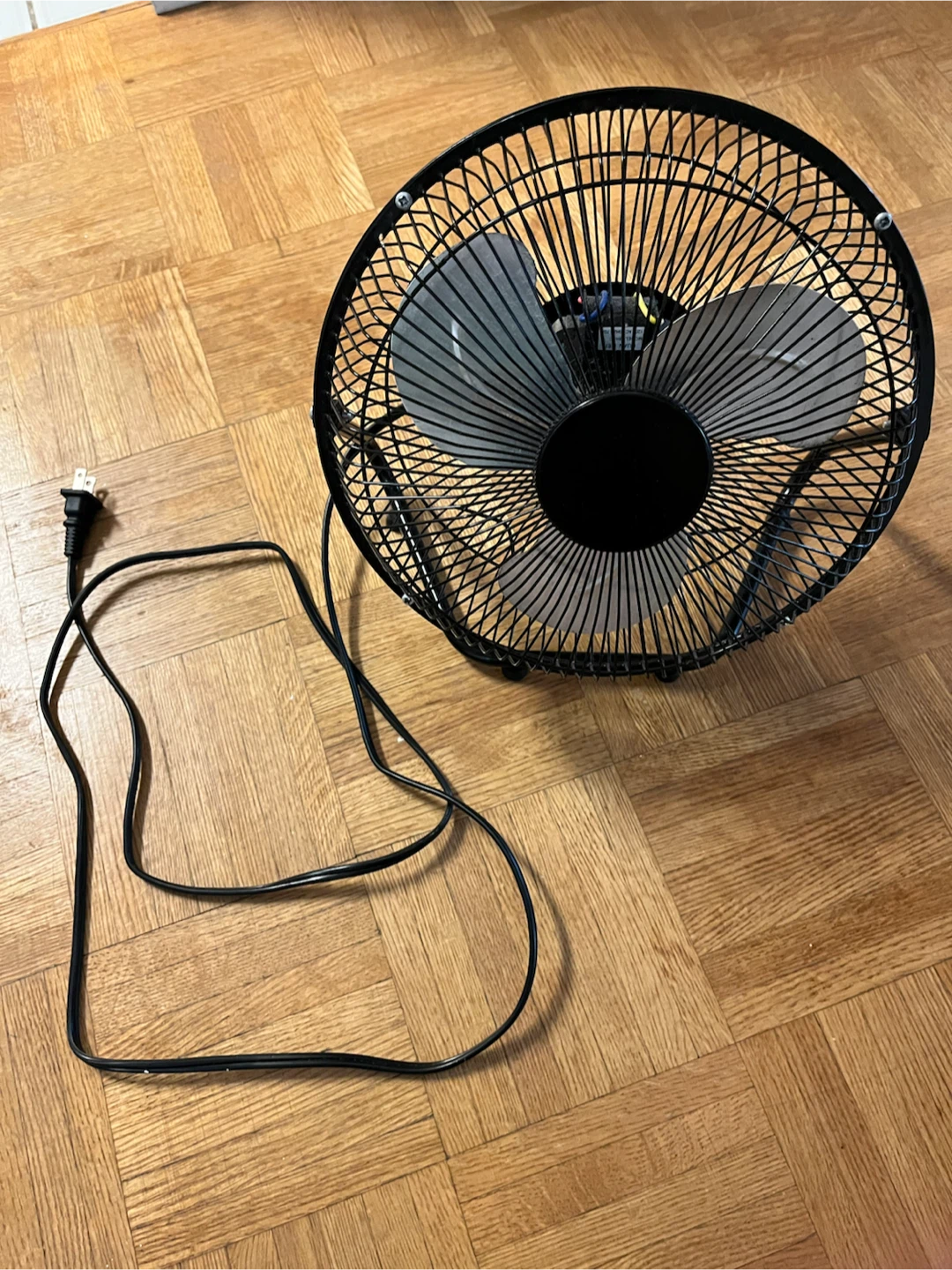 Black oscillating fan