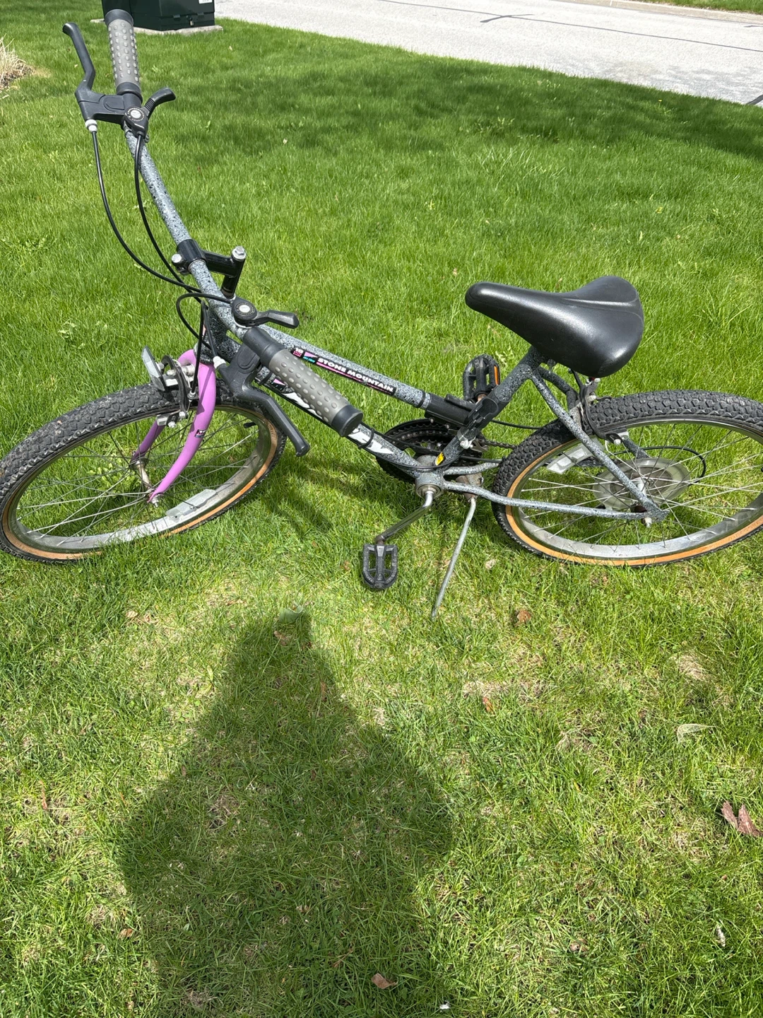 Schwinn Stone Mountain Bike