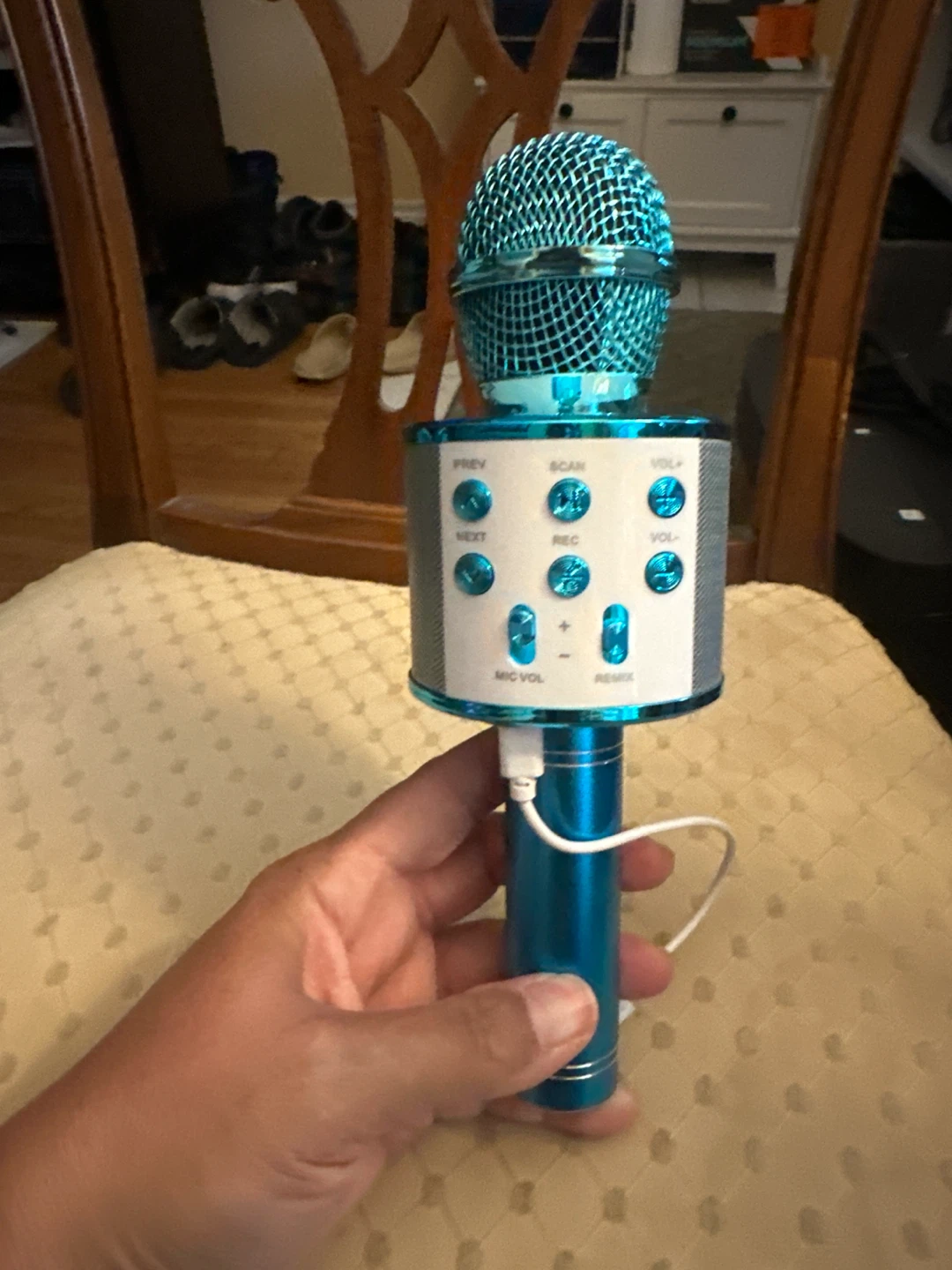 Bluetooth Karaoke Microphone
