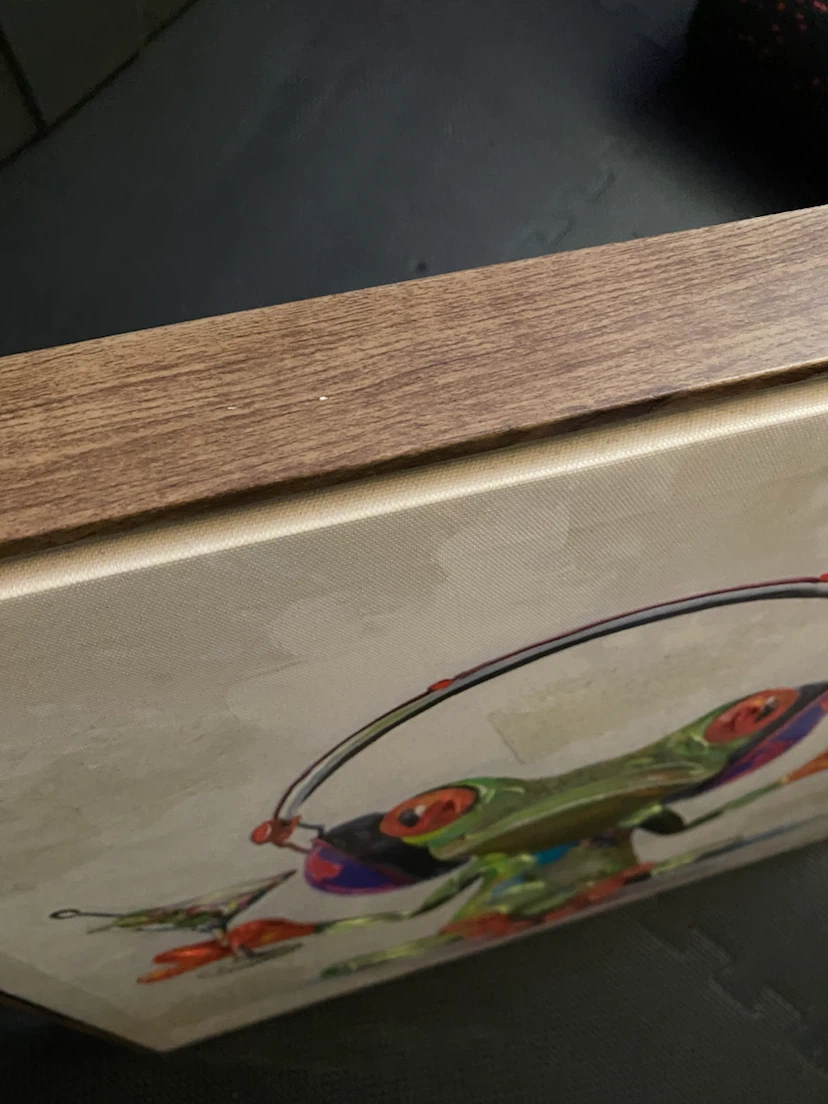 Framed canvas art of a frog with headphones and a drink - photo 2