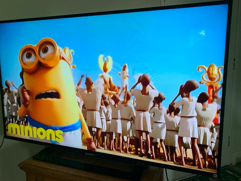 Sony 50" LCD TV