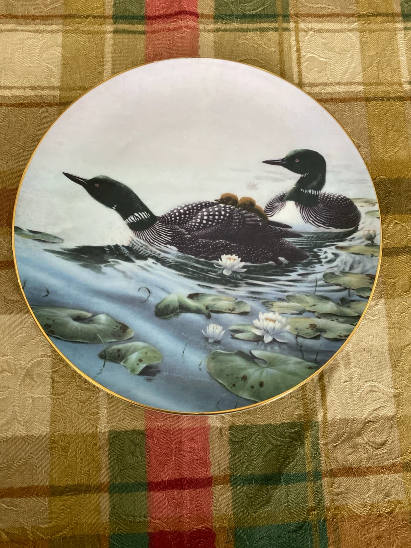 Loon Family Fine Bone China Plate by Michael Dumas