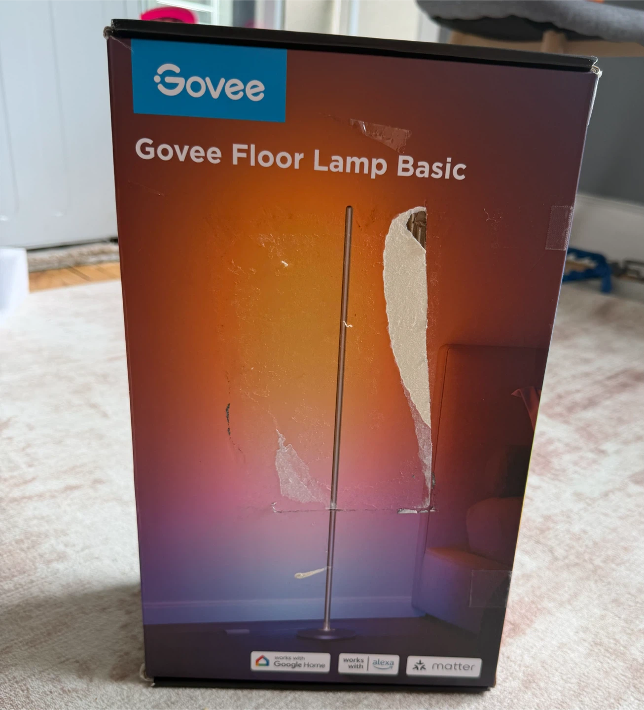 Govee RGBIC Floor Lamp Basic, 1000lm LED Corner Lamp, Sliver