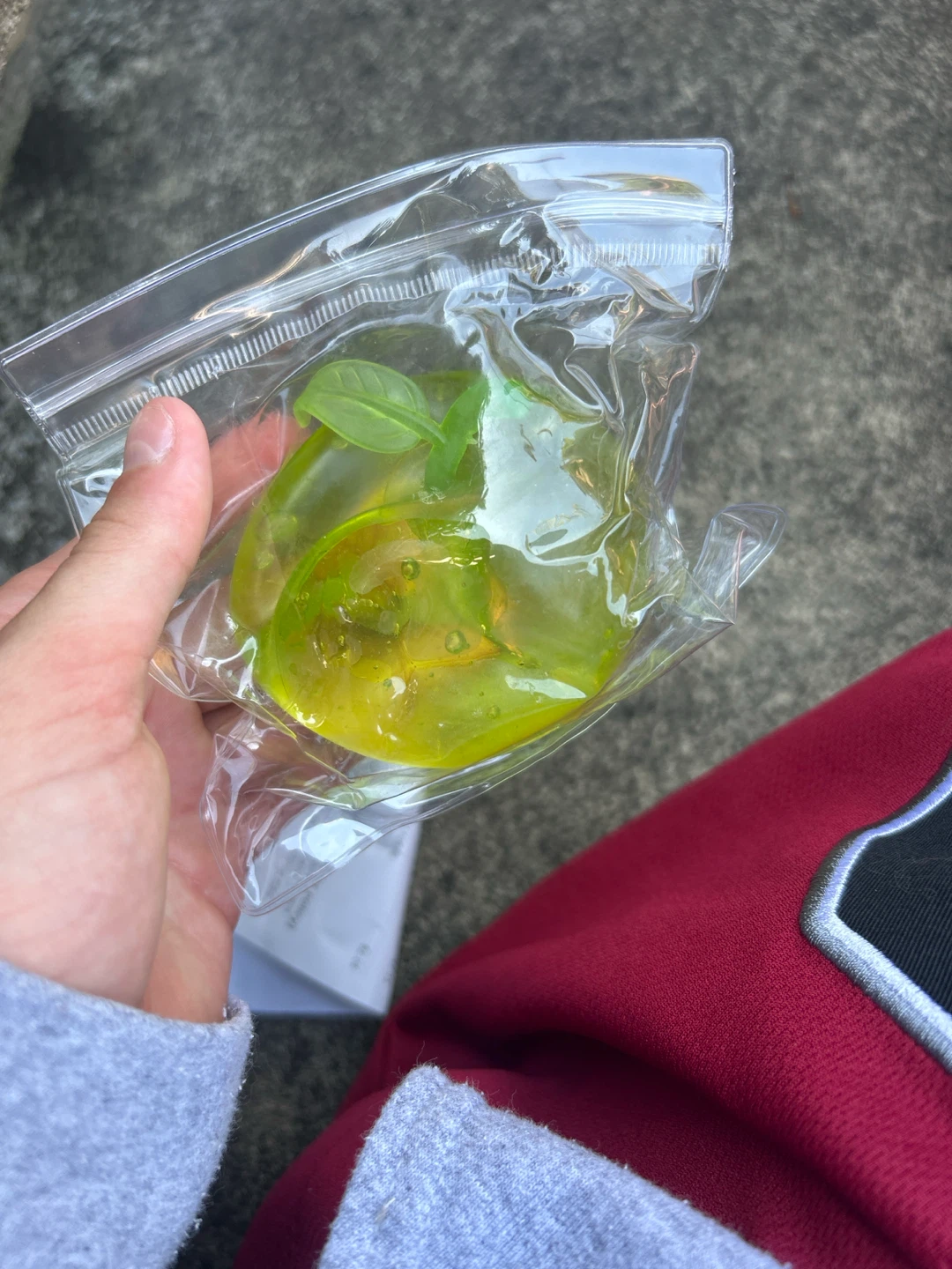 Apple squire luck squishy