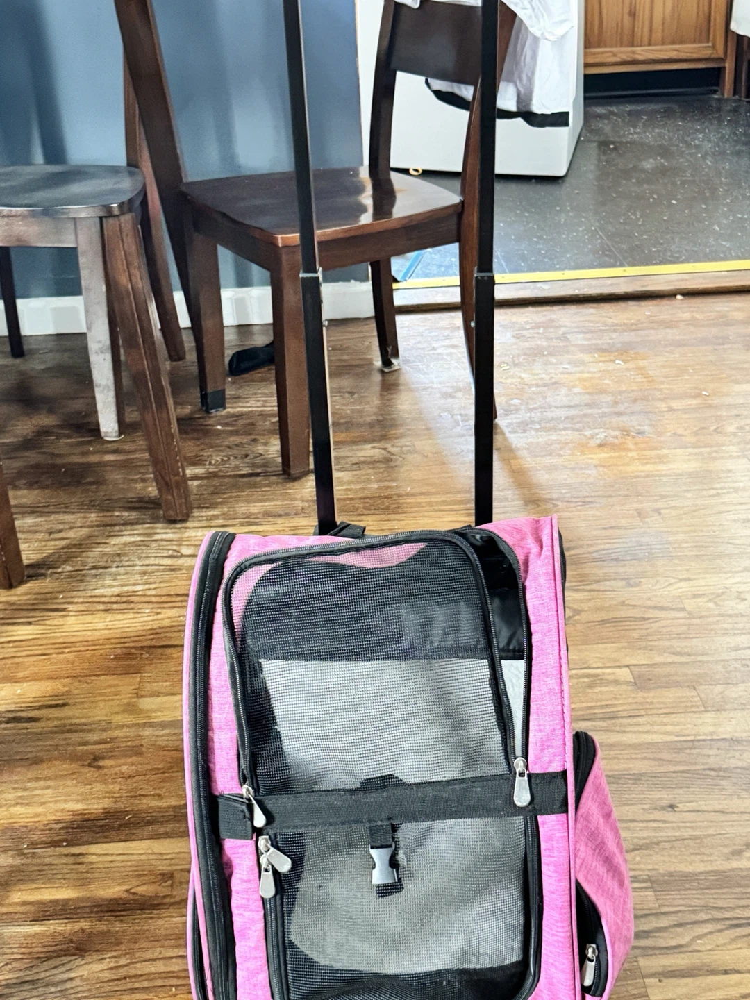 Travel carrier for dogs