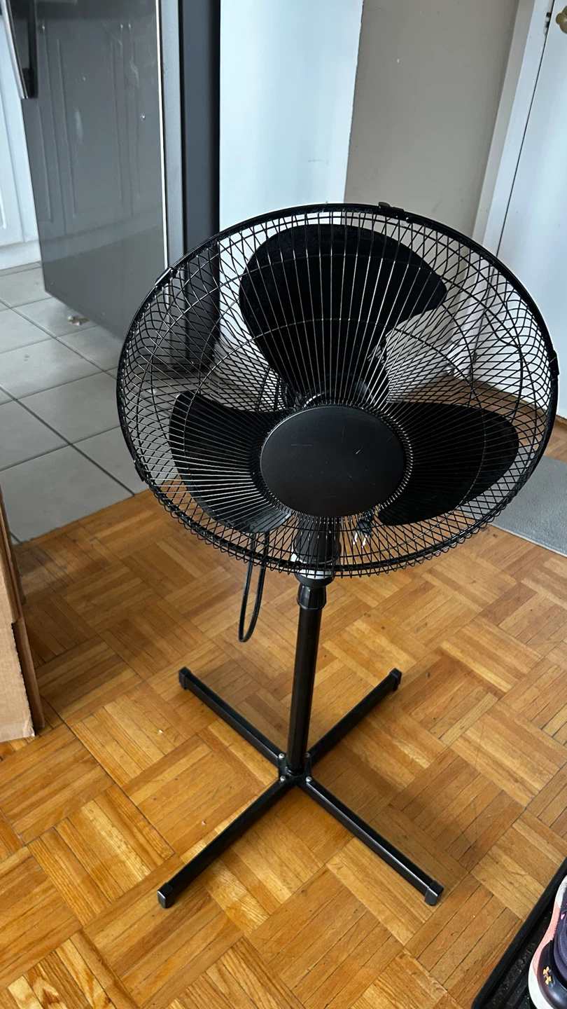 Fan