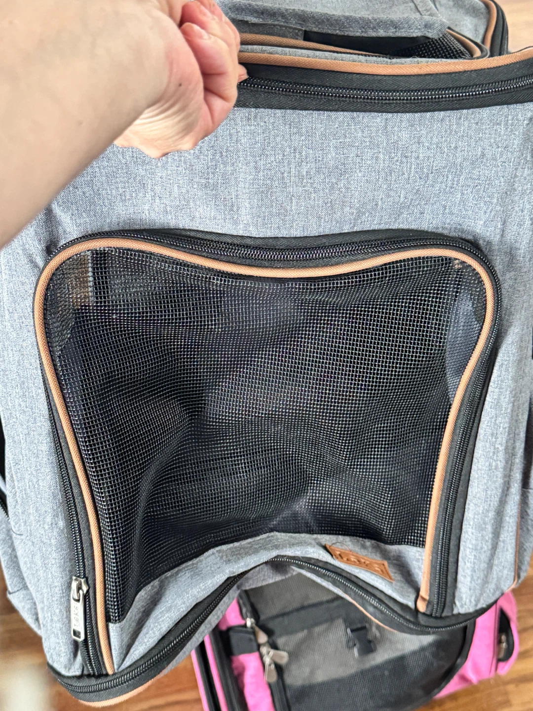 Dog back pack Carrier