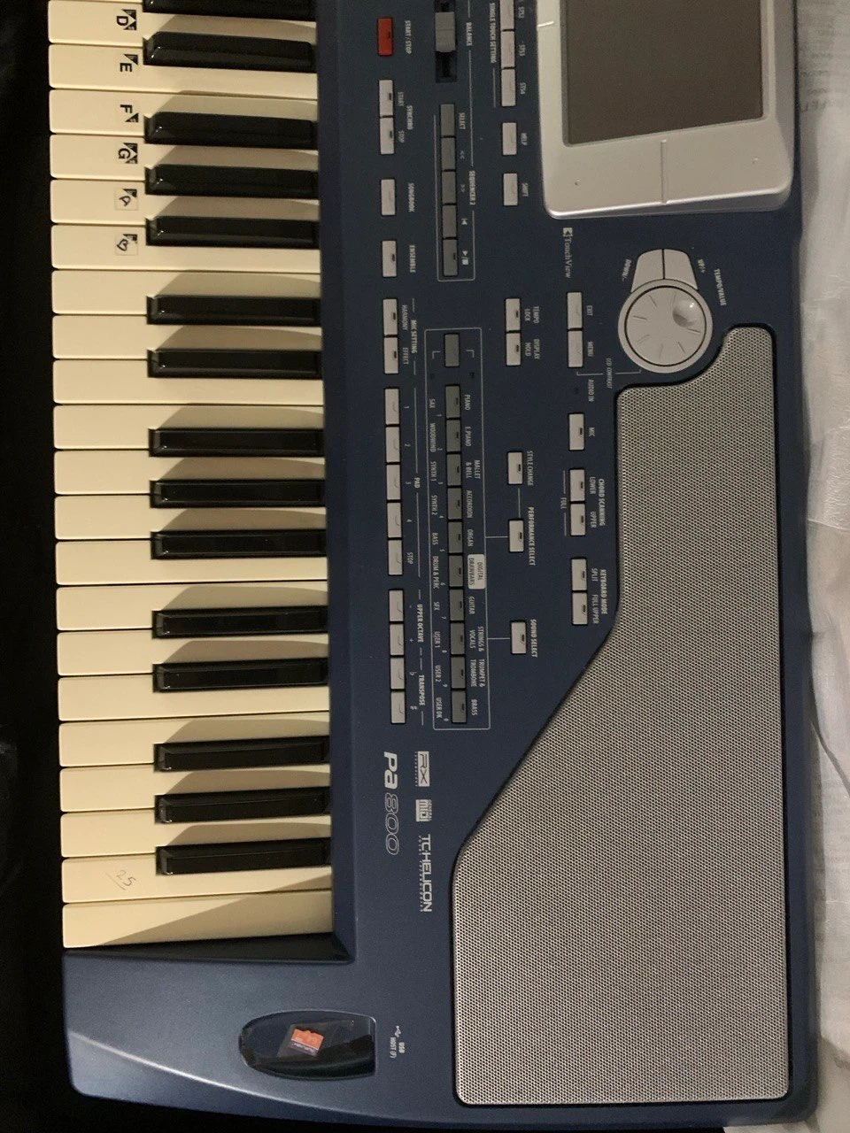Korg PA800 Professional Arranger Keyboard - photo 2