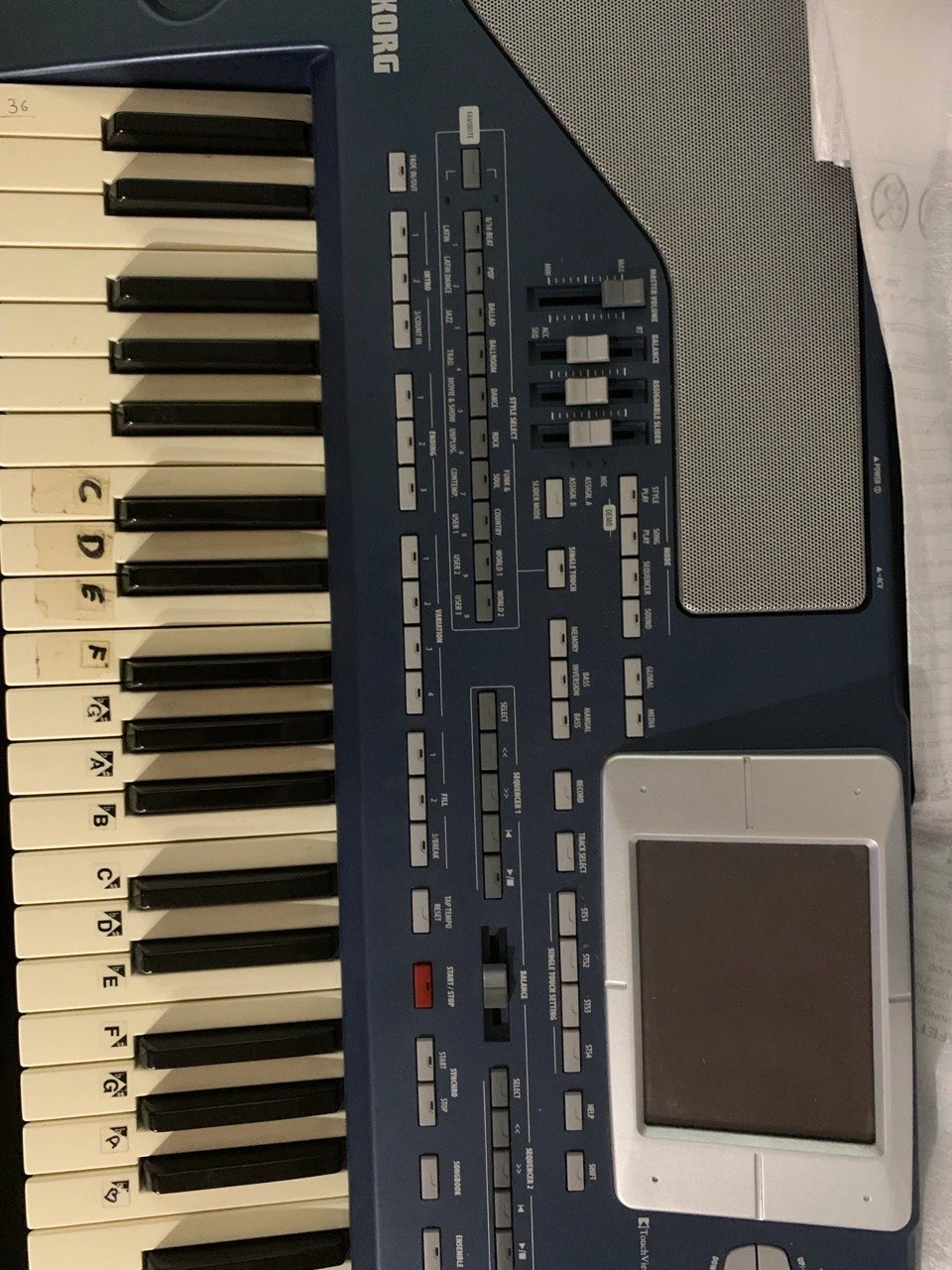 Korg PA800 Professional Arranger Keyboard - photo 3