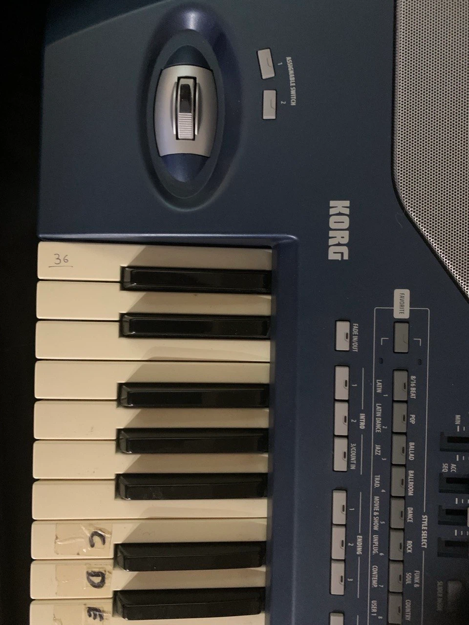 Korg PA800 Professional Arranger Keyboard - photo 4