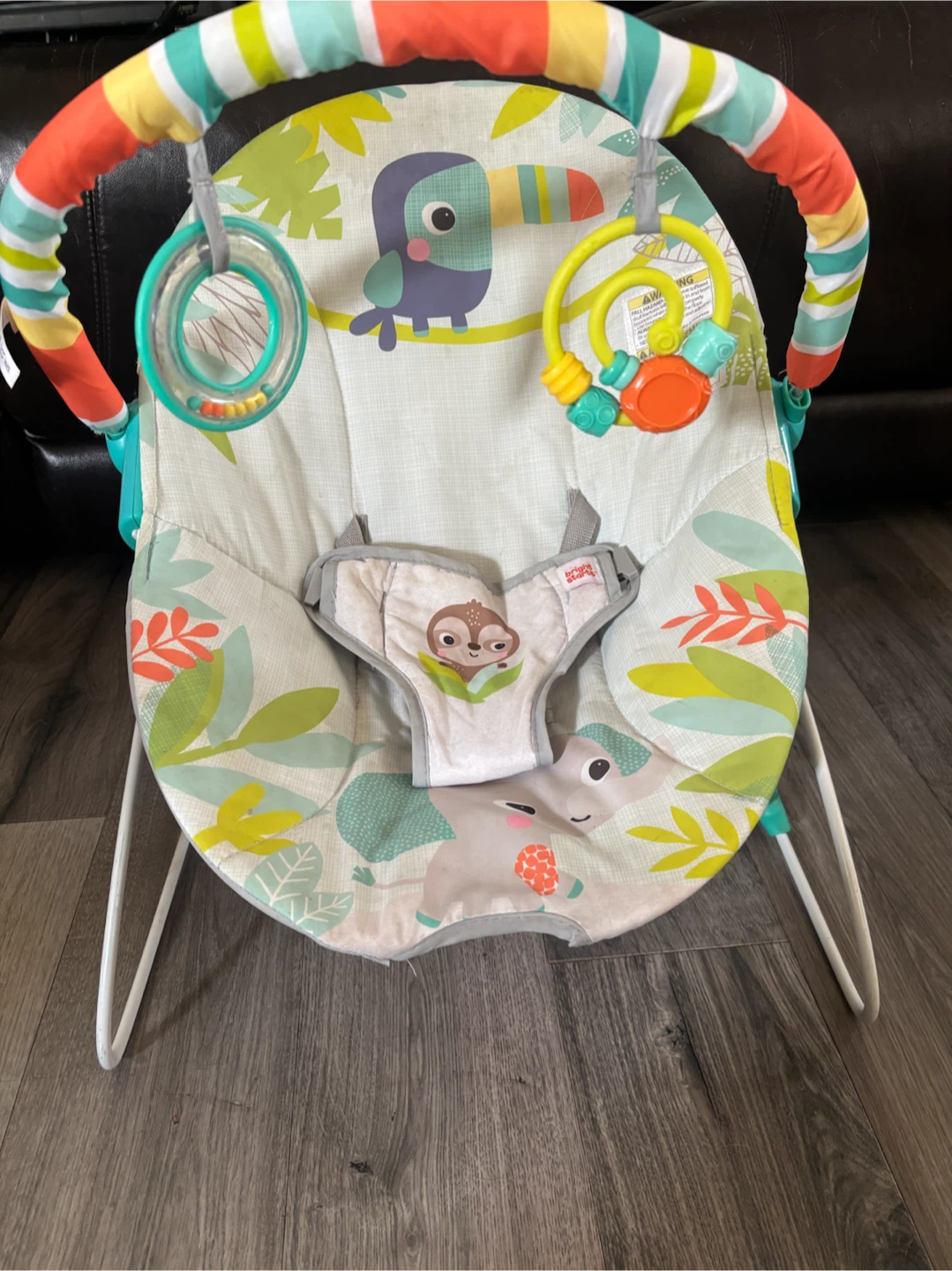 Bright Starts Baby Bouncer Seat