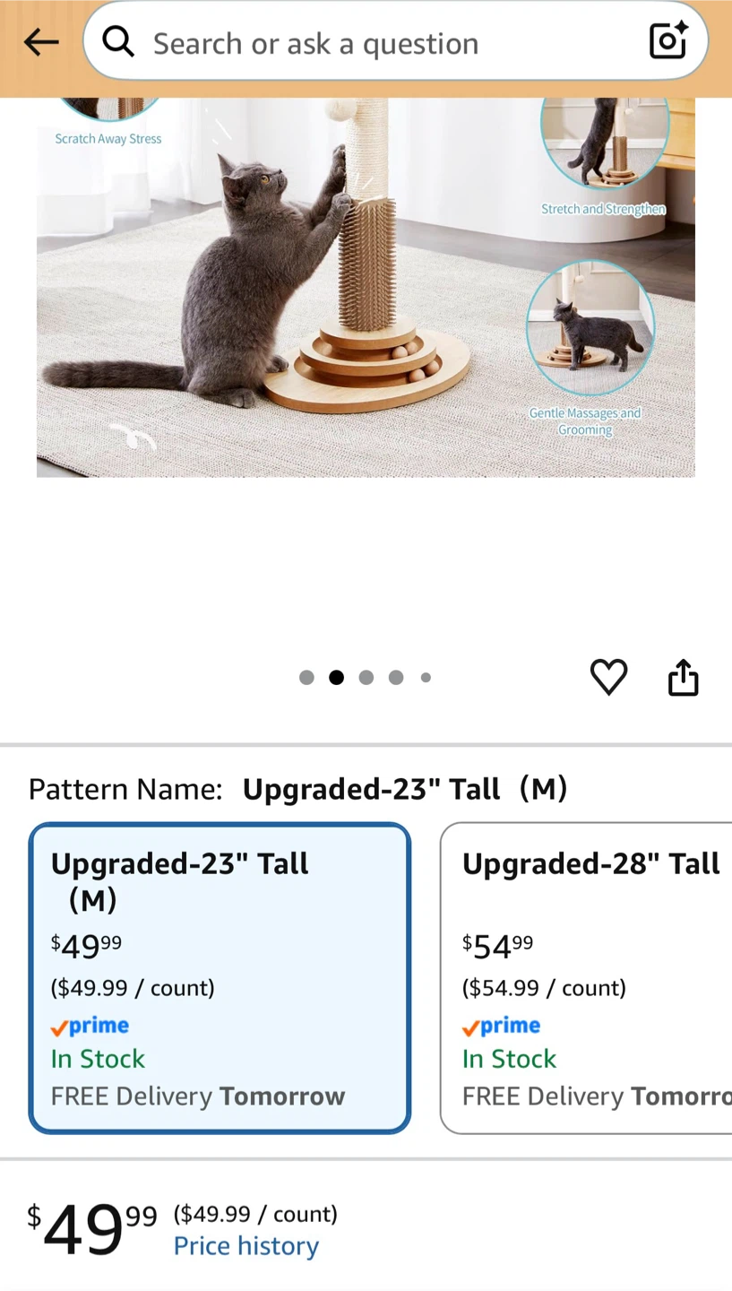 Wooden Cat Scratching Post with Toy - photo 4
