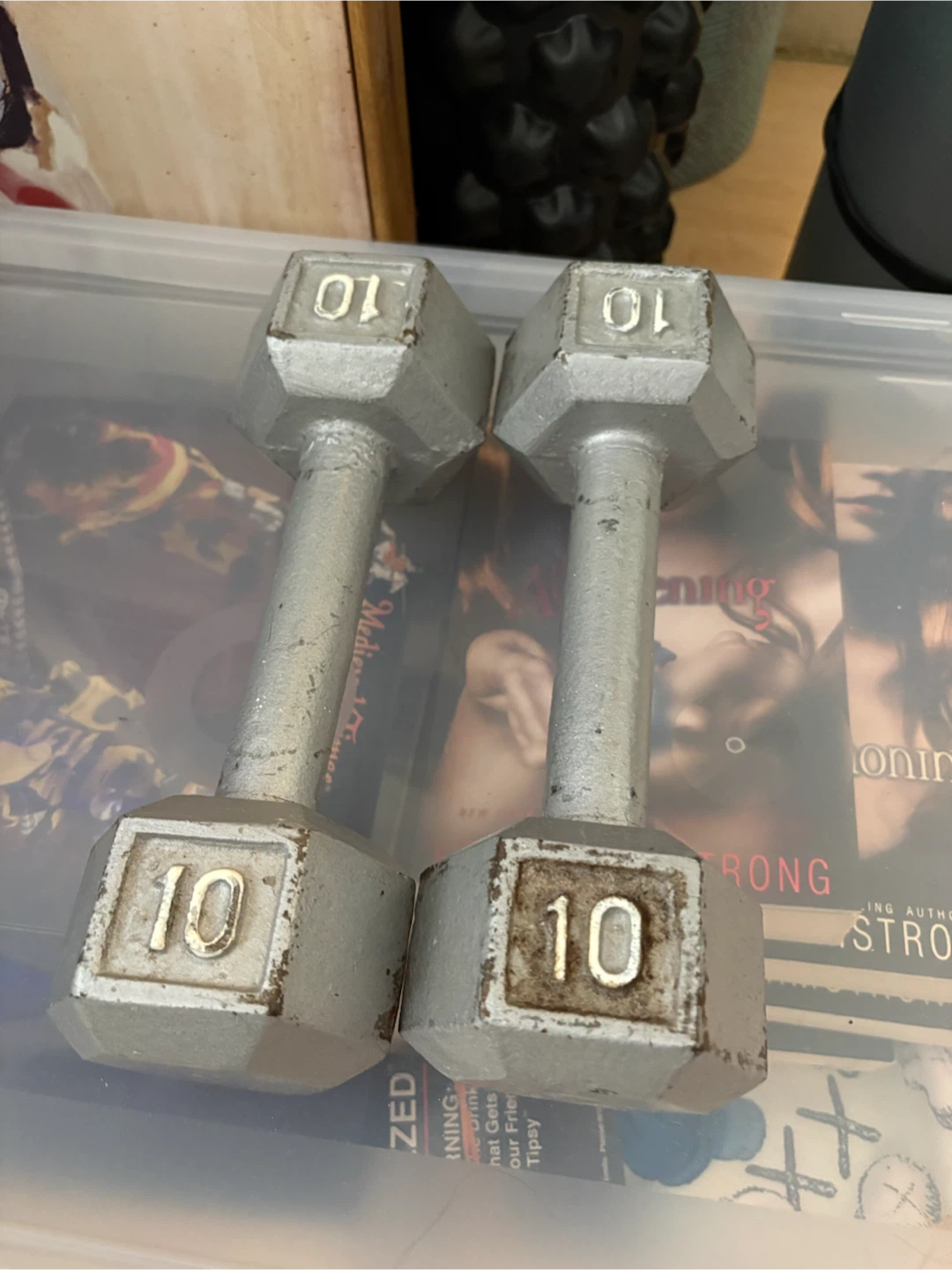Pair of 10 lb Dumbbells
