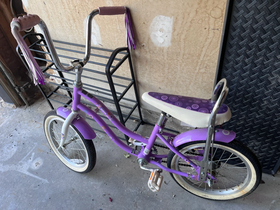 16inch Schwinn Kids Bike with boat Seat - photo 2