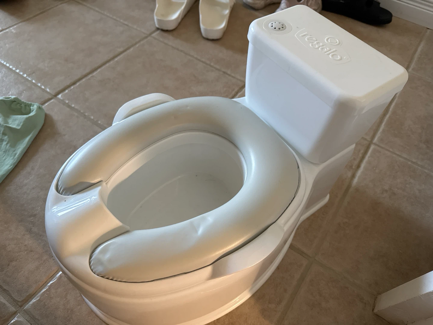 Potty Regalo