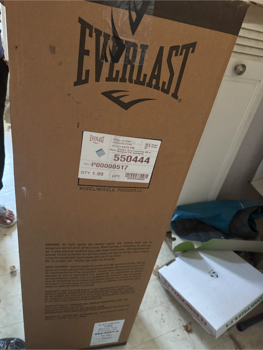 Everlast Punching Bag