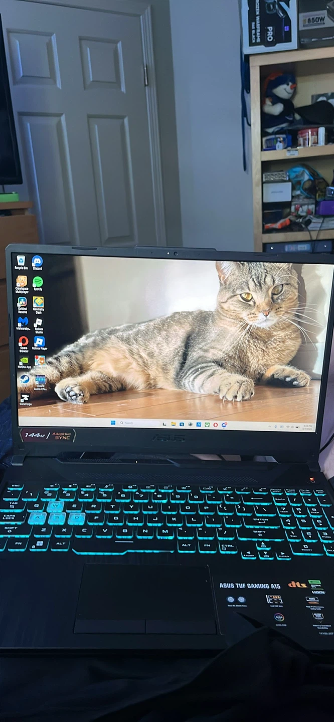 Asus Tuf A15