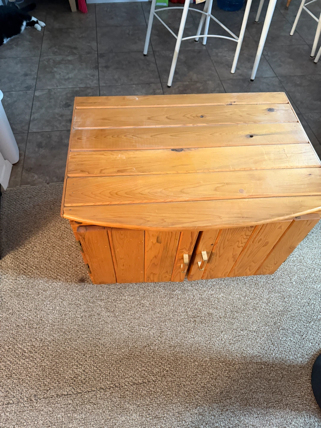Wooden Storage Cabinet with Doors