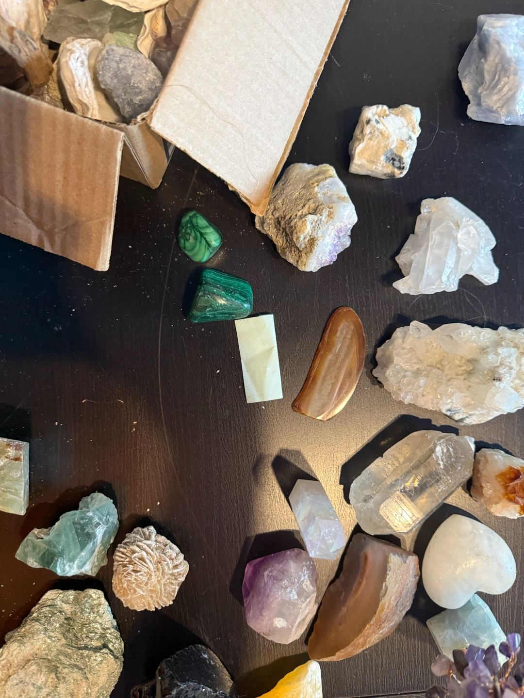 Assorted Rock and Mineral Collection