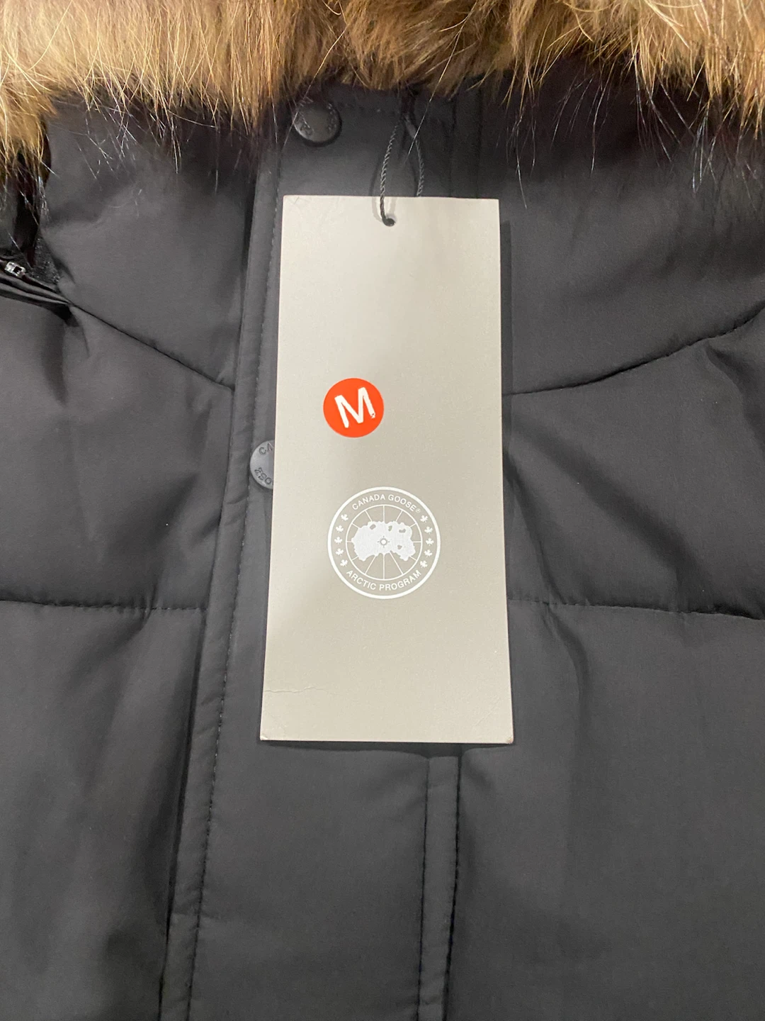 Canada goose jacket - photo 3