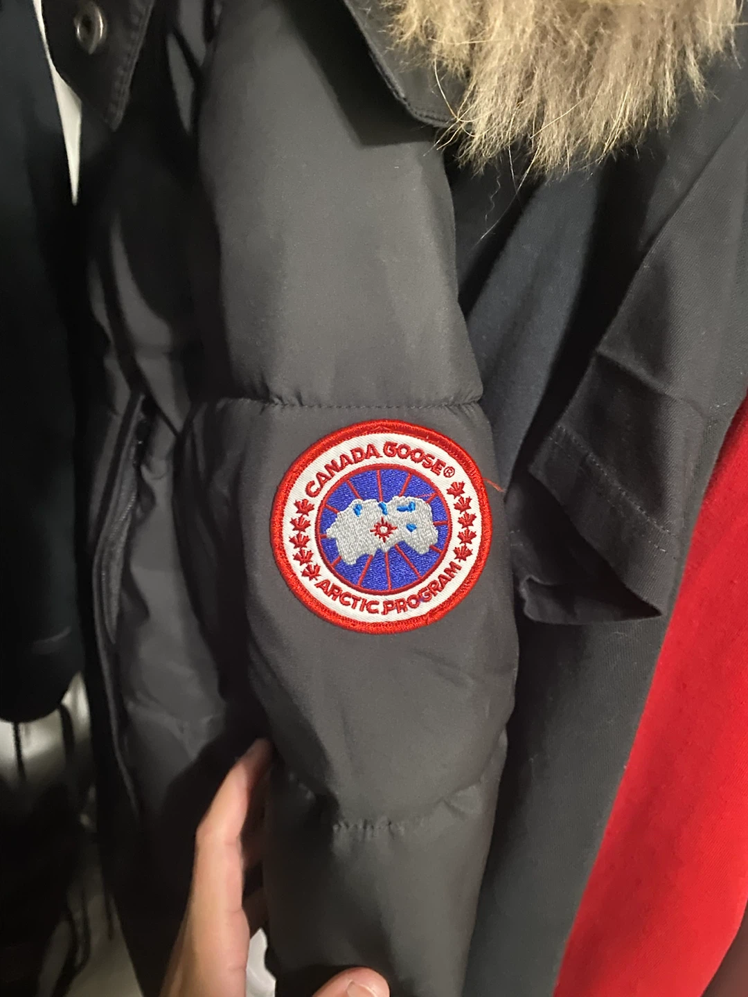 Canada goose Wyndham parka