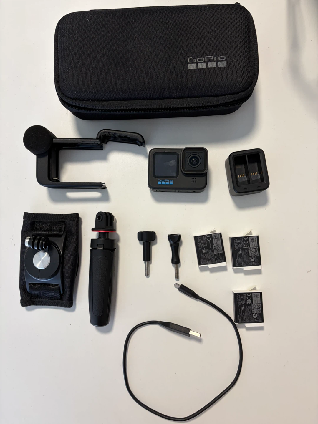 gopro10 + media kit
