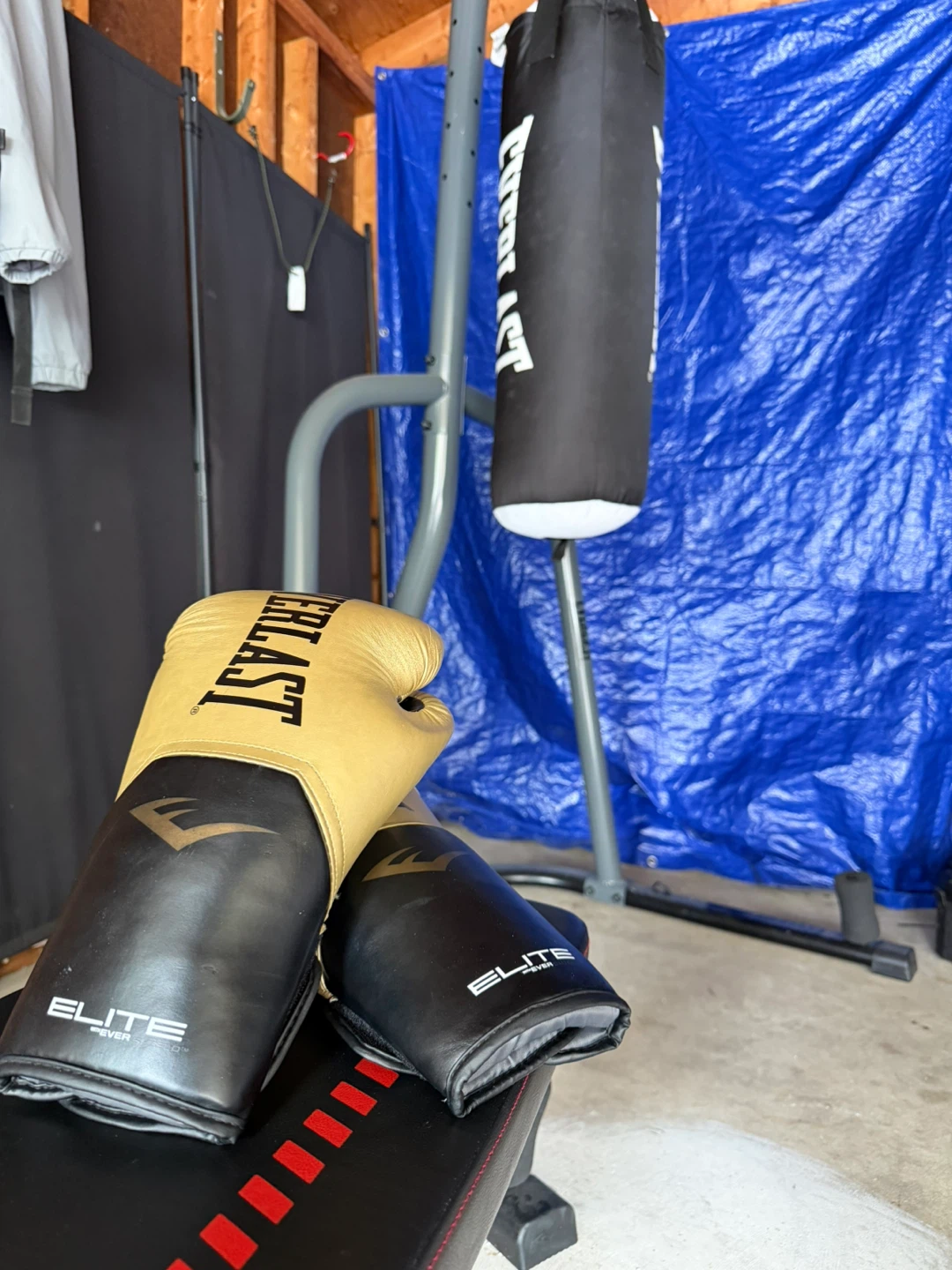 Everlast Punching Bag with Gloves