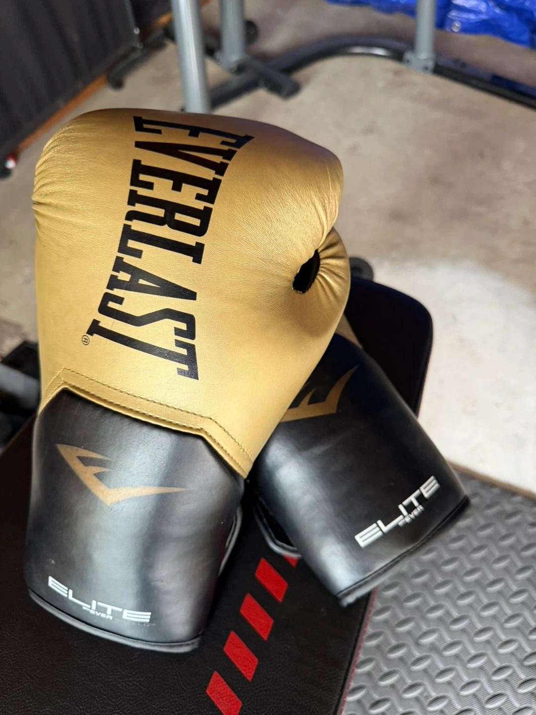 Everlast Punching Bag with Gloves - photo 3