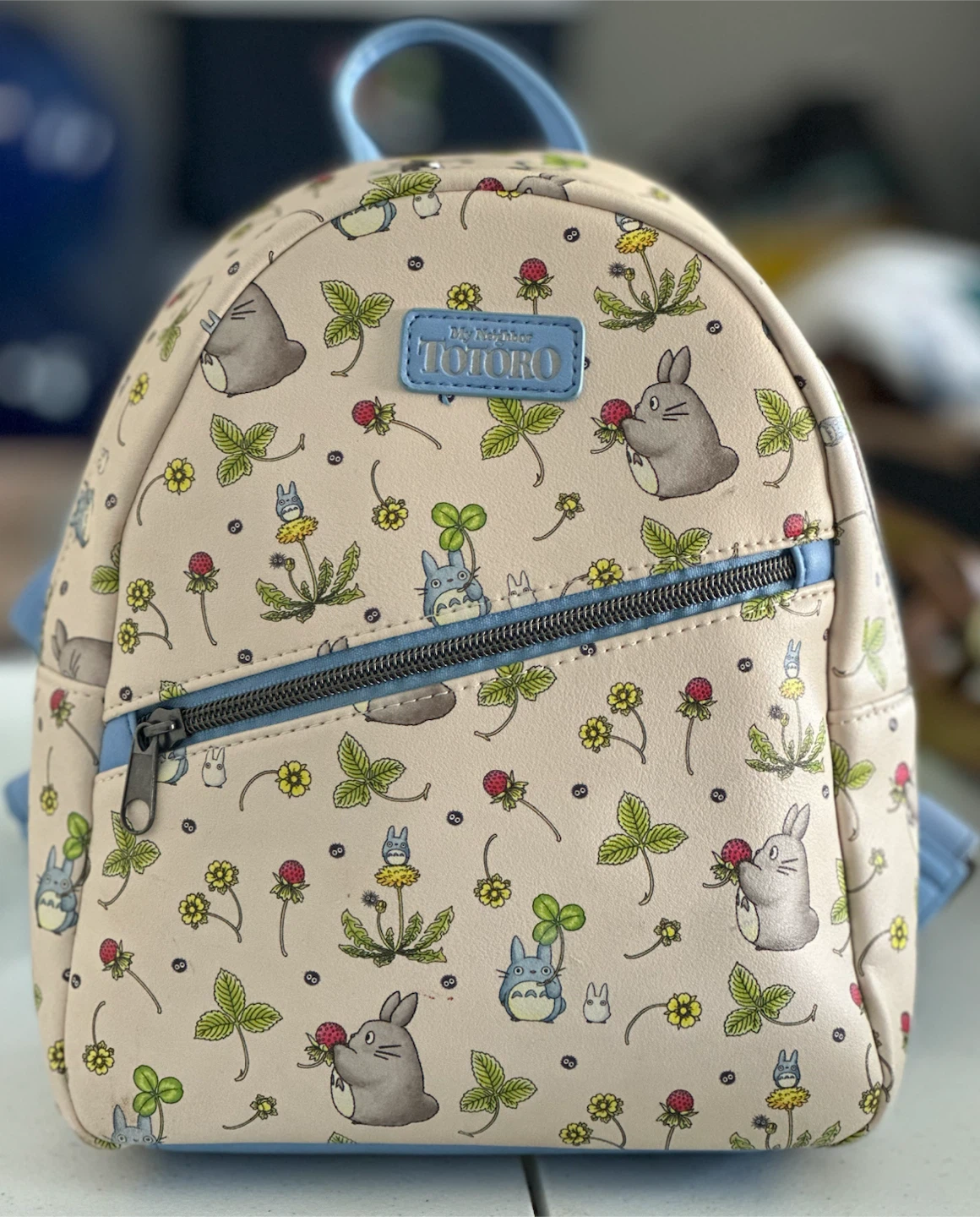 Totoro back pack ‼️