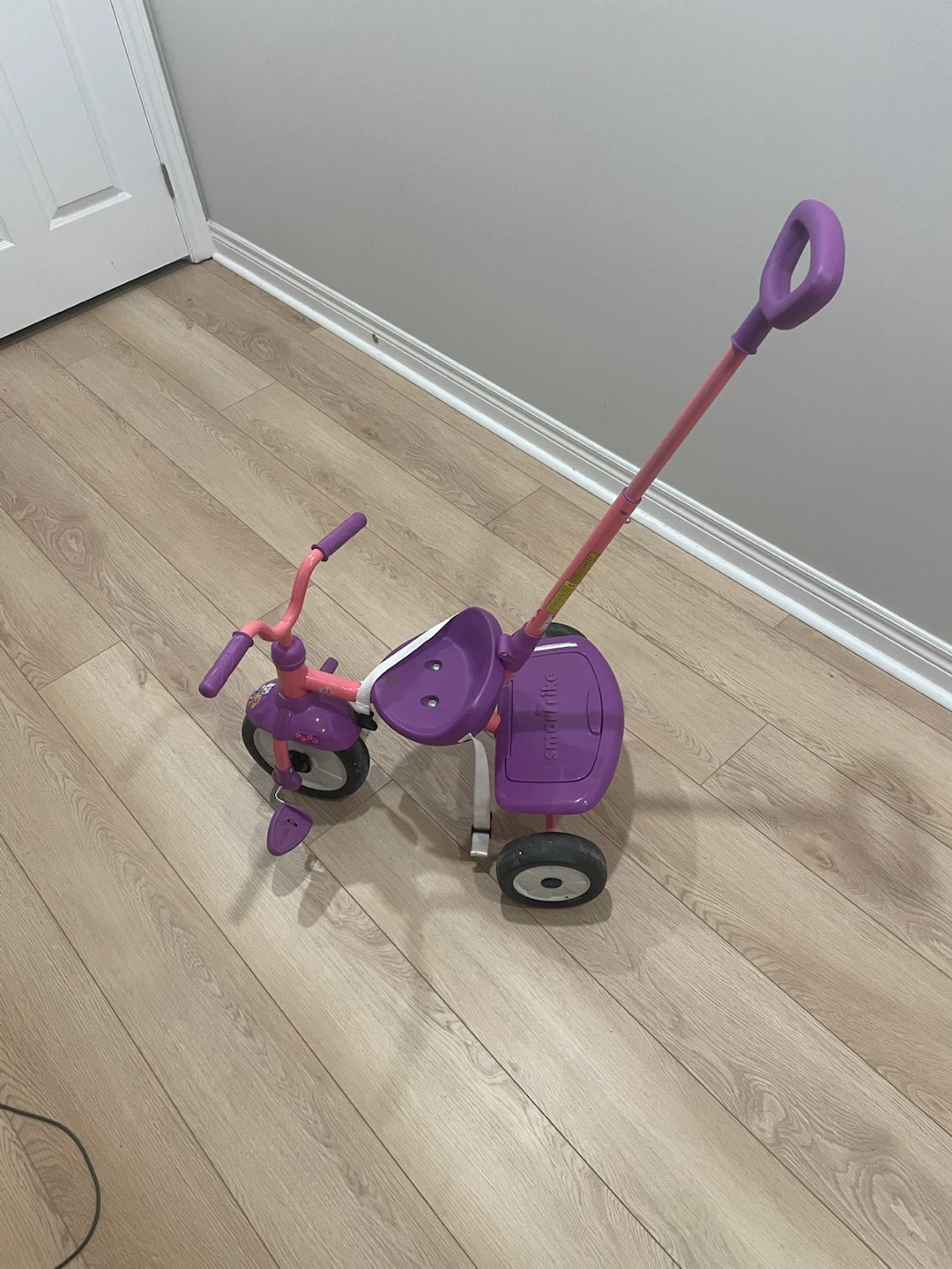 Smart Trike Kids Tricycle with Parent Handle