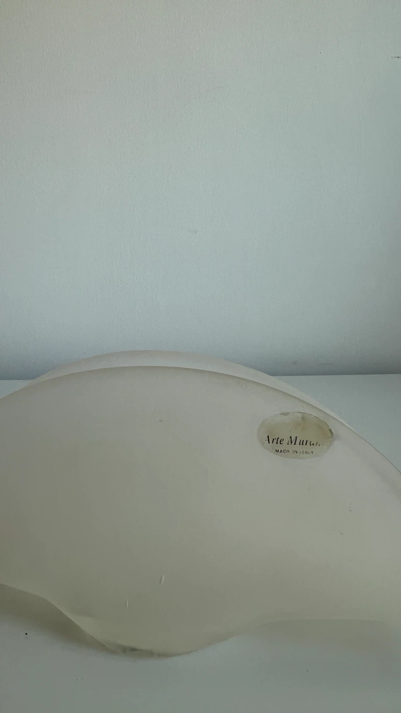 Arte Murano Frosted Glass Sconce Light - photo 2