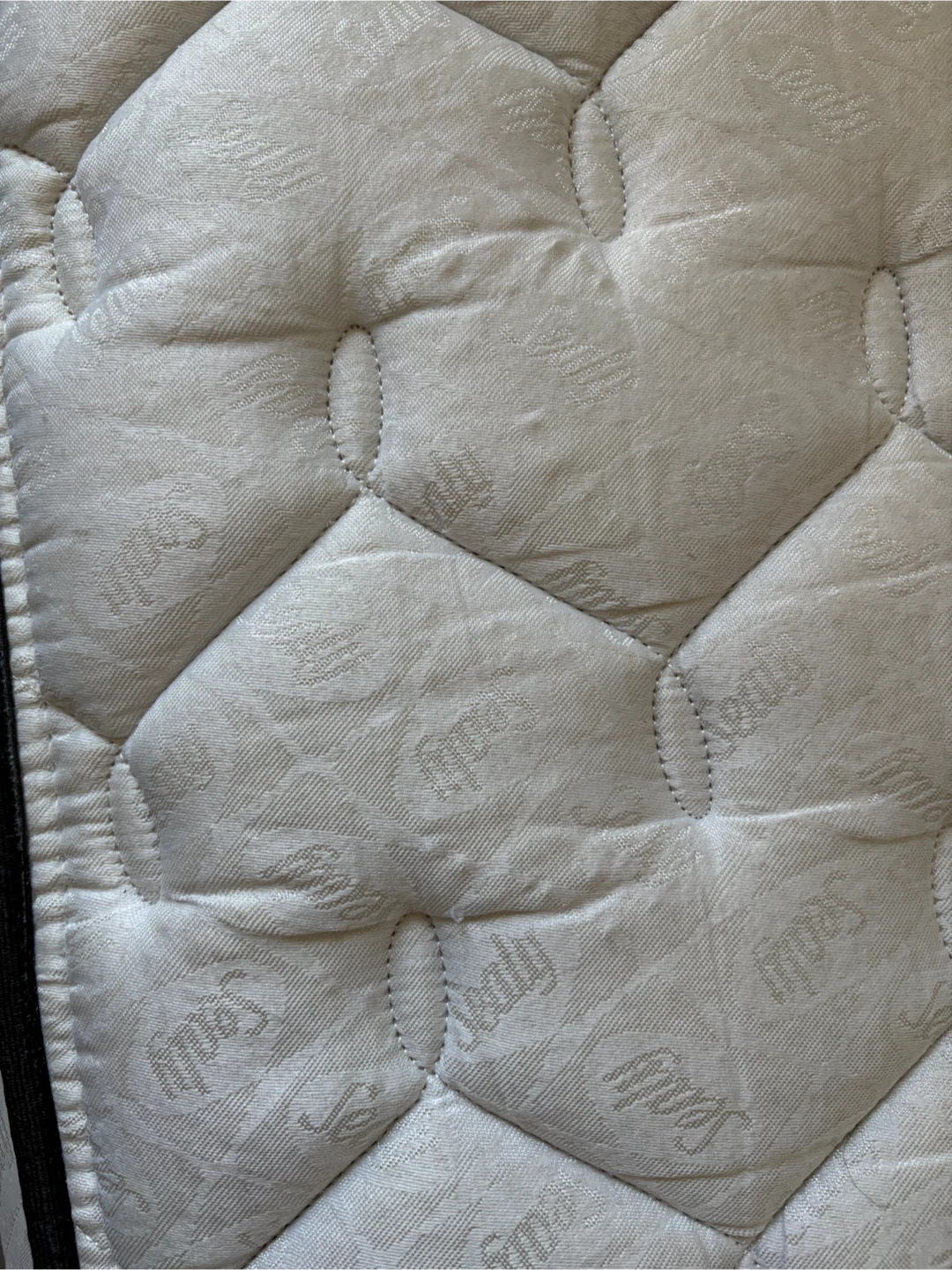 Free Sealy Twin Mattress - photo 2