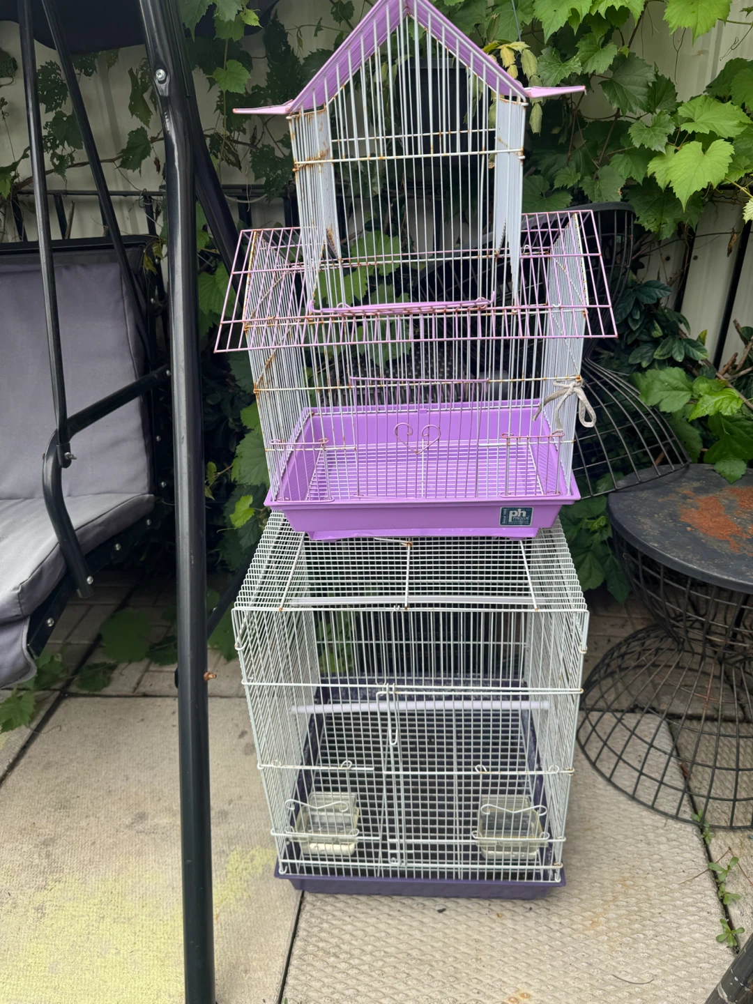 Multi-level Bird Cage with Perches and Feeders