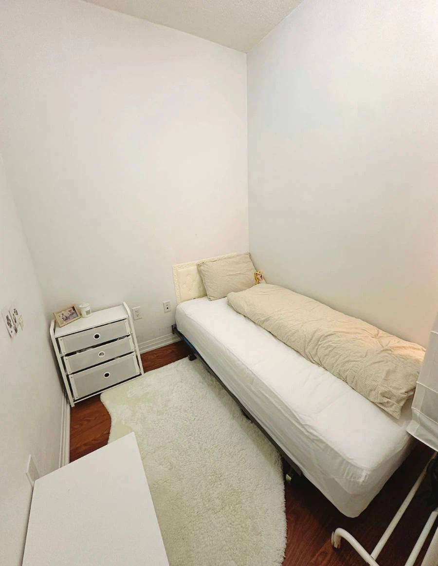 2 beds 2 baths downtown condo furnished - photo 5