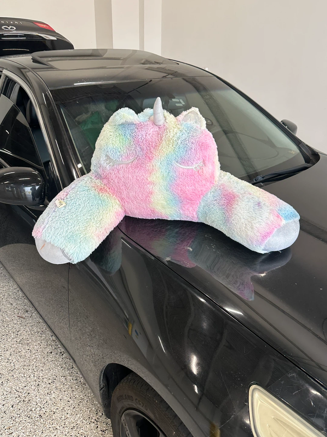 Unicorn Reading Pillow