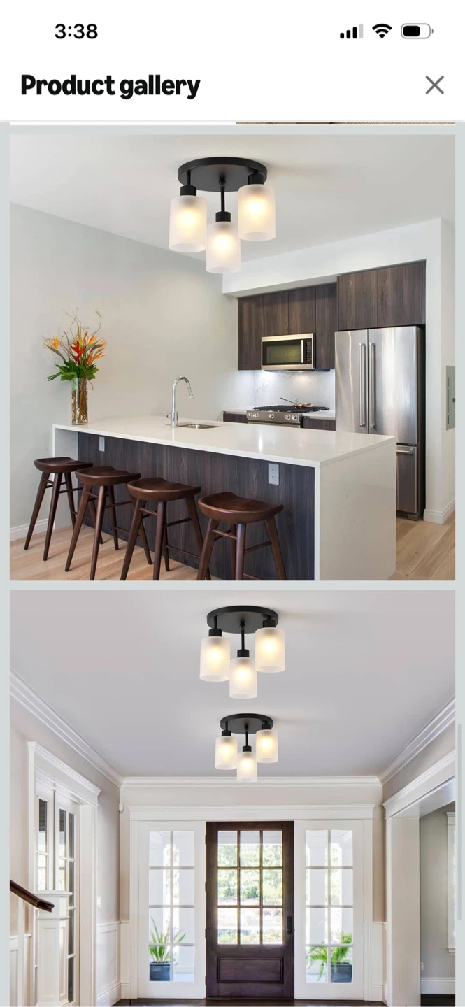 New-3-Light Flush Mount Ceiling Light Fixture - photo 3