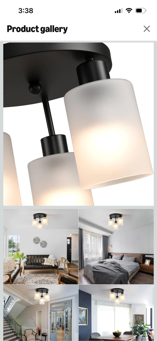 New-3-Light Flush Mount Ceiling Light Fixture - photo 5