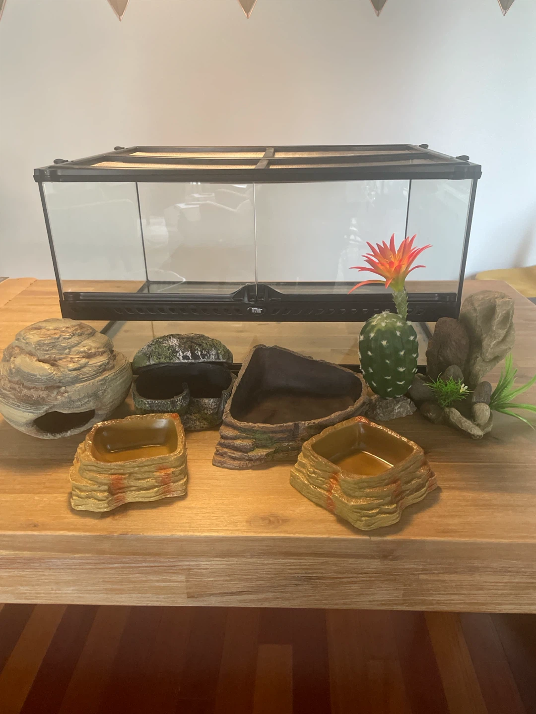 Terrarium Kit with Dome Lamp and Accessories - photo 4