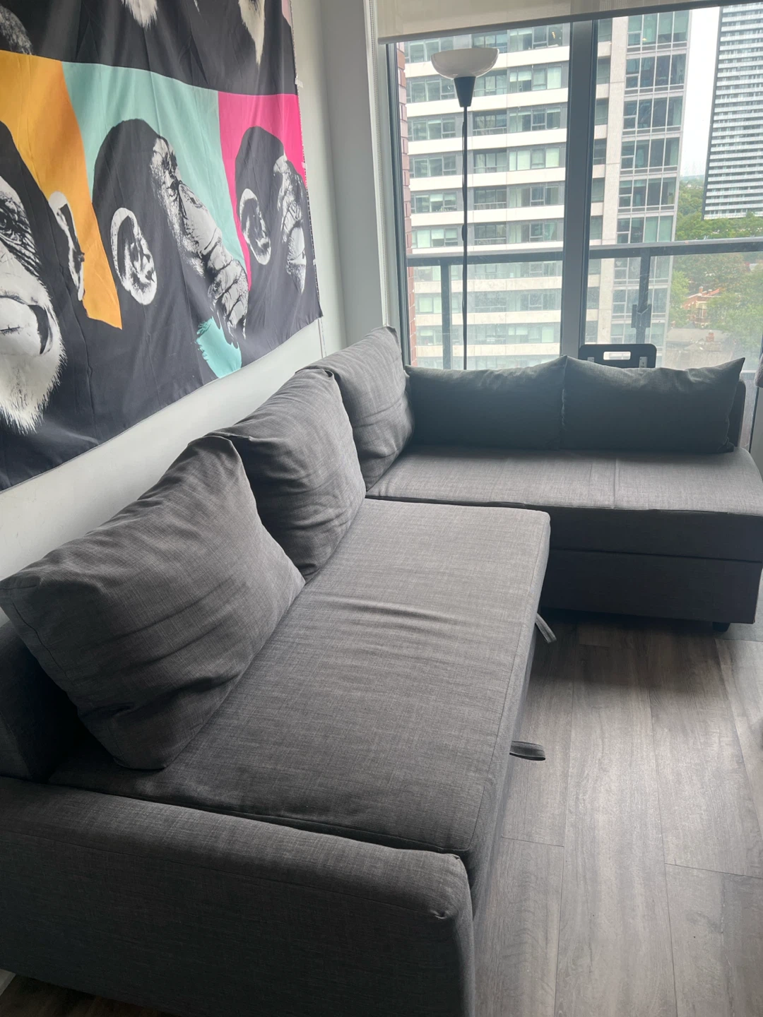 Ikea couch - FRIHETEN Corner sofa-bed