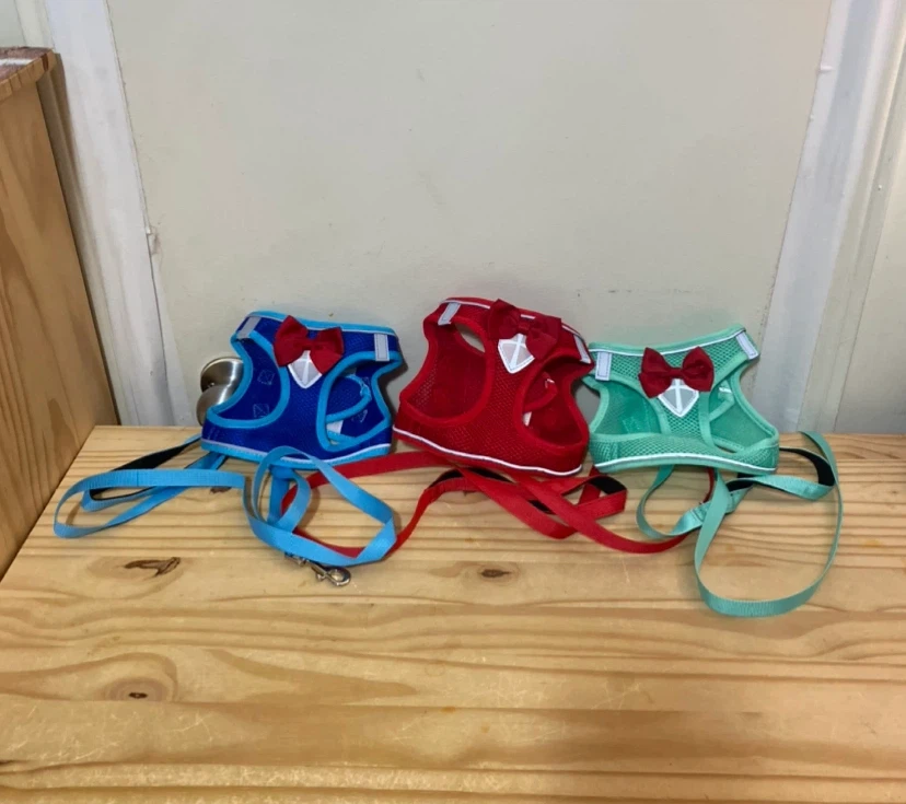 New Pet Harness and Leash ($15 each/3 colours).