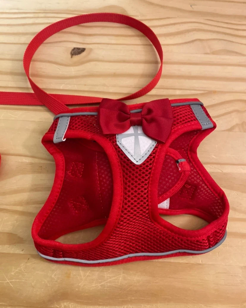 New Pet Harness and Leash ($15 each/3 colours). - photo 2