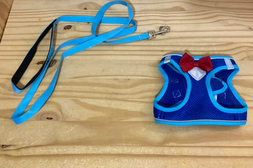New Pet Harness and Leash ($15 each/3 colours). - photo 3