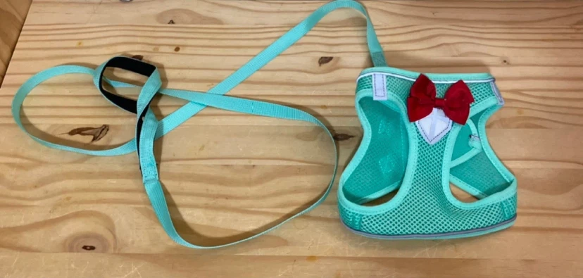 New Pet Harness and Leash ($15 each/3 colours). - photo 4