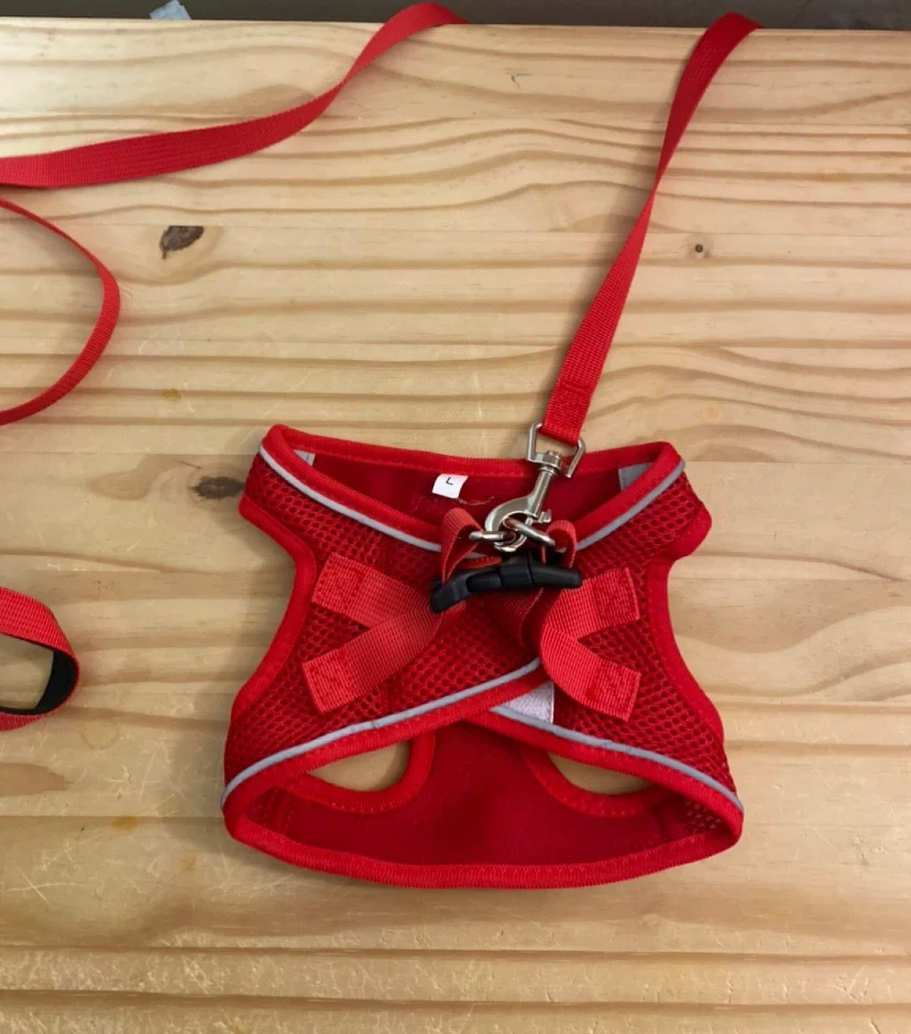 New Pet Harness and Leash ($15 each/3 colours). - photo 5