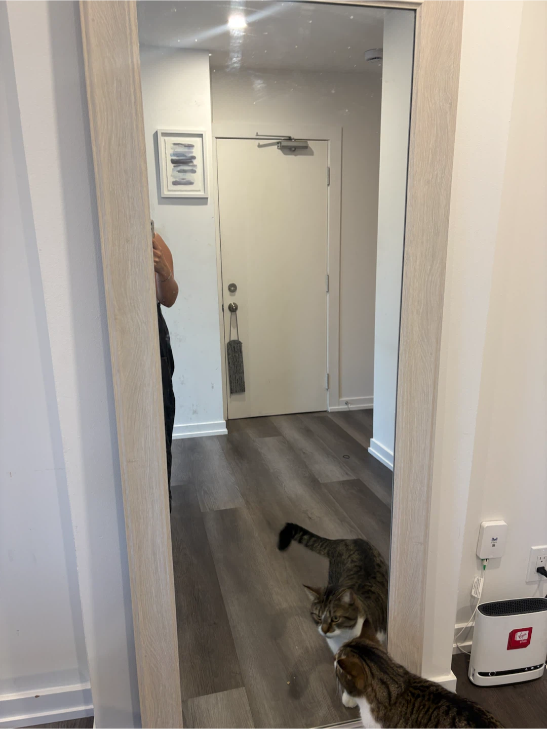Full Length Floor Mirror with Wood Frame