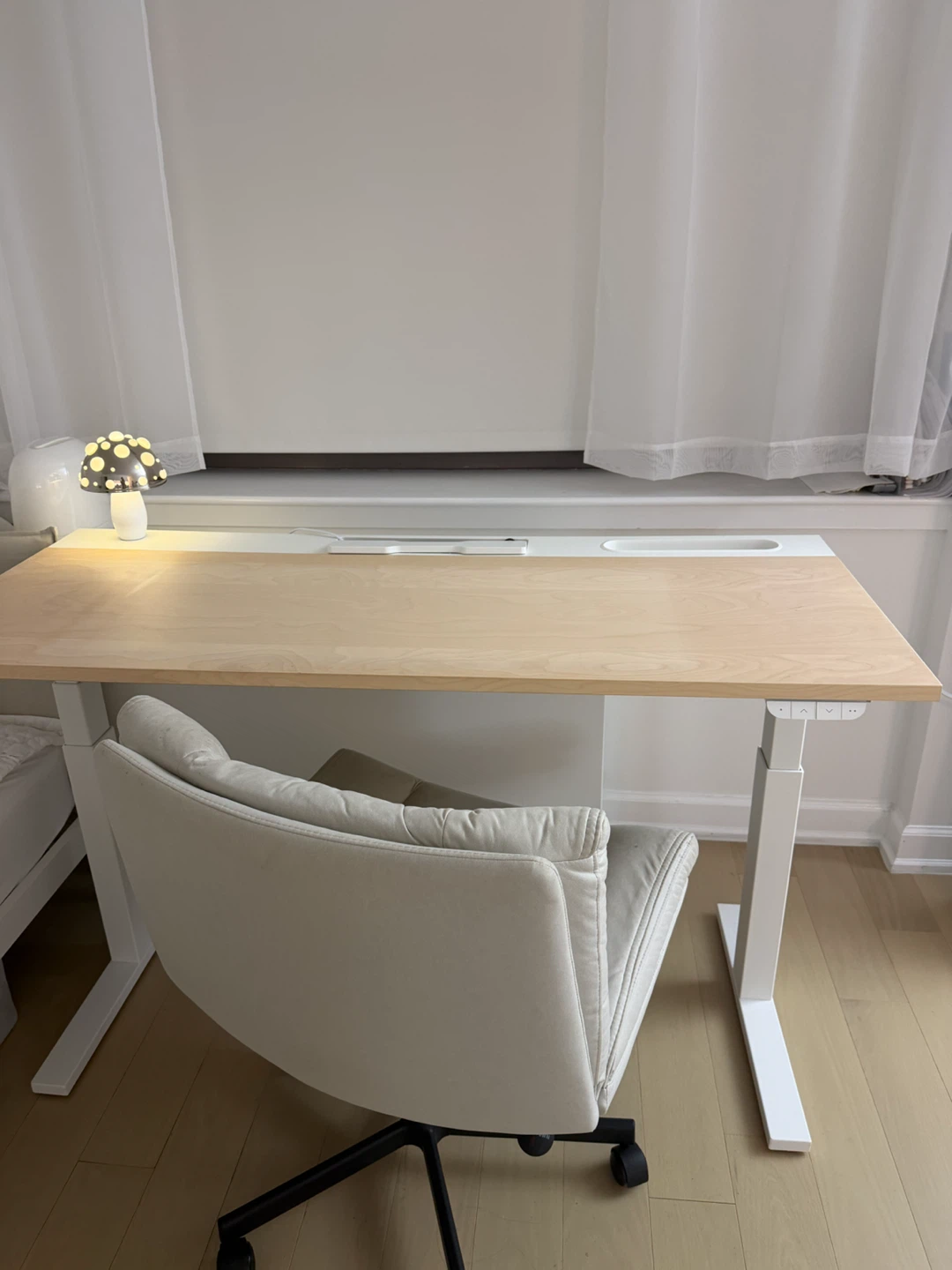 Adjustable Standing Desk - photo 3