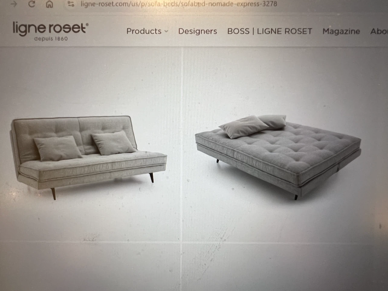 Ligne Roset Sofa Bed - photo 3