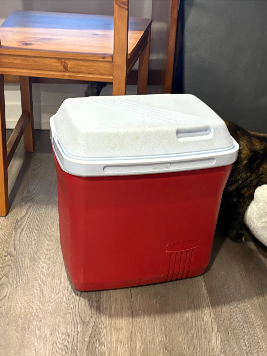 Rubbermaid Red Cooler