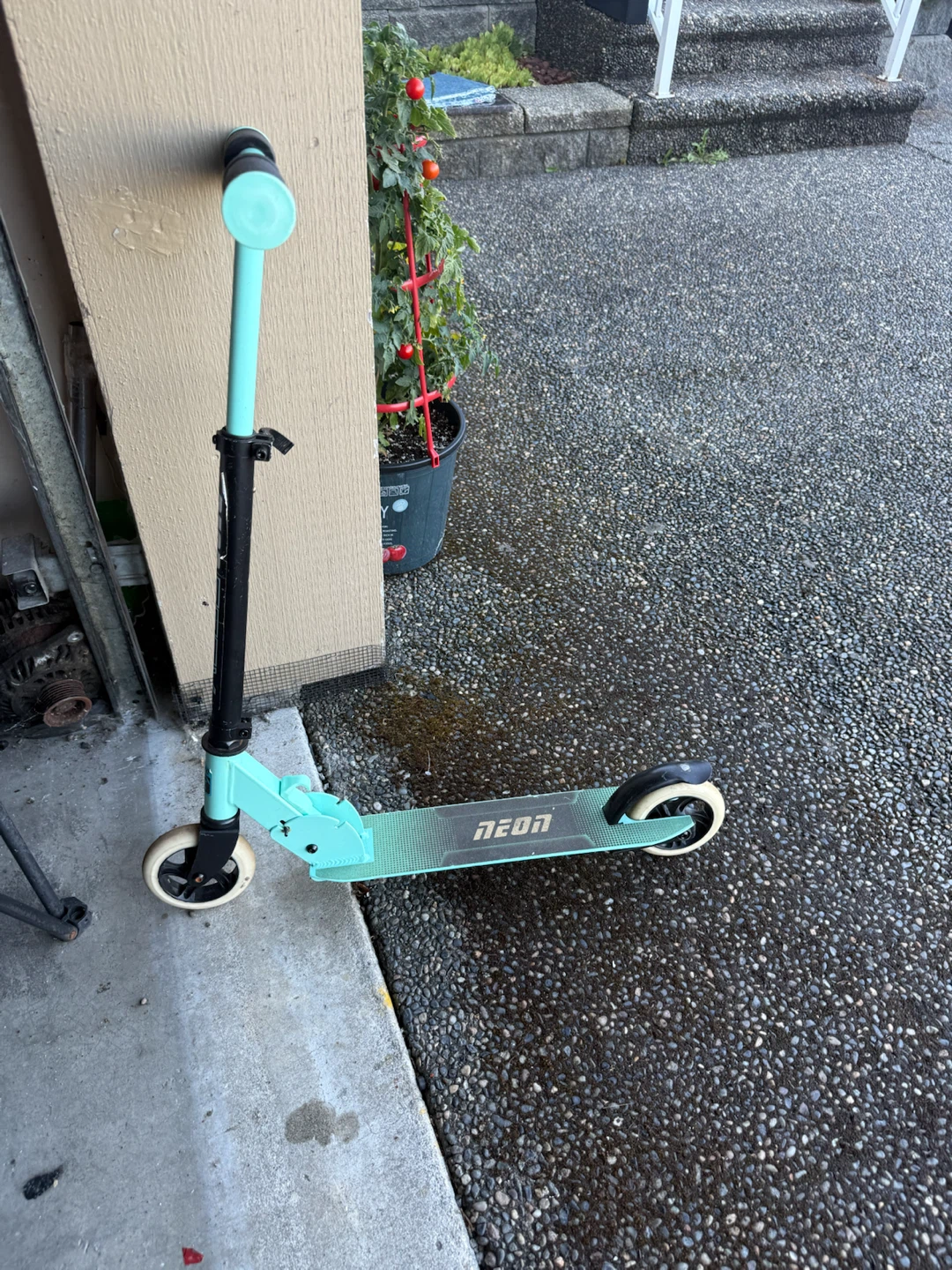 NEON Scooter - photo 2